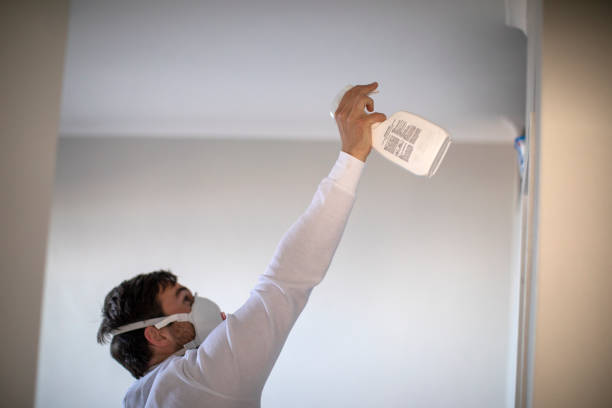 Best Emergency Mold Removal  in Englewood Cliffs, NJ