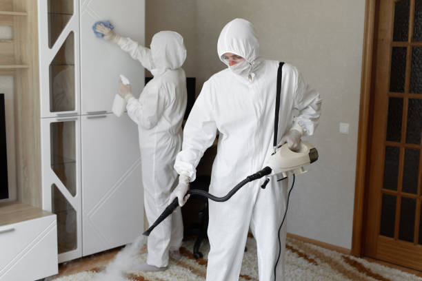Best Mold Damage Repair  in Englewood Cliffs, NJ