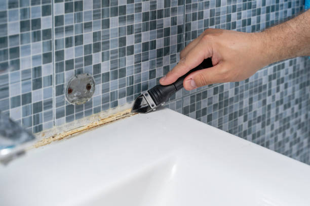 Best Best Mold Removal Companies  in Englewood Cliffs, NJ