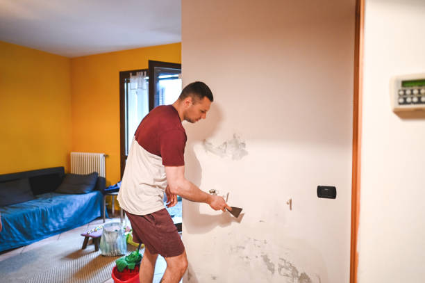 Best Mold Removal Near Me  in Englewood Cliffs, NJ